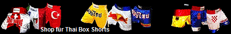 Thai Box Shorts